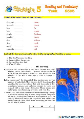 Spotlight 5 Task 5505