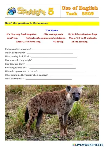 Spotlight 5 Task 5509