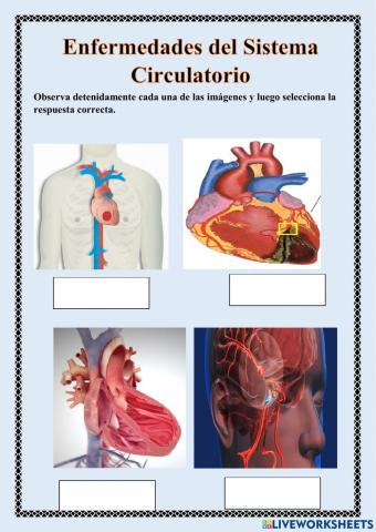 Enfermedades del Sistema Circulatorio