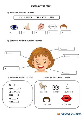 Parts of the face