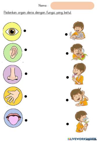 Sains awal prasekolah : deria
