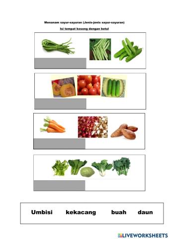 Menanam sayur-sayuran