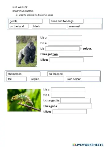 Wild Life : Write Sentences