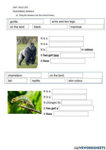 Wild Life : Write Sentences