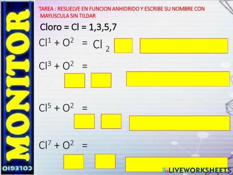 Mundo kids  miss lidia