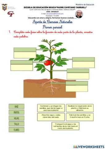 Aporte de ciencias 1er parcial
