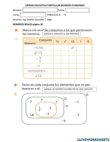 Números Reales