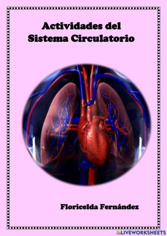 El Sistema Circulatorio.