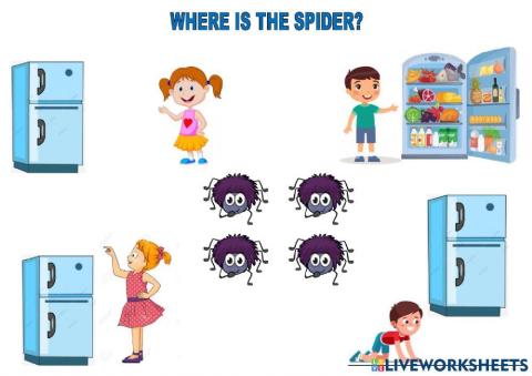 Where is the spider
