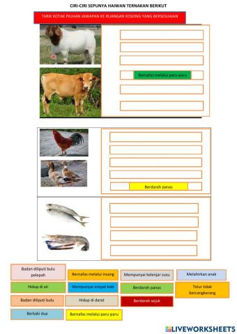 Ciri-ciri sepunya haiwan ternakan