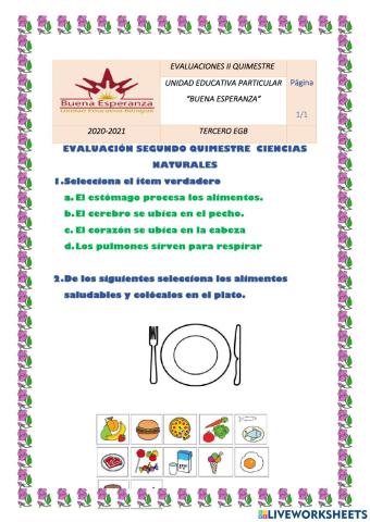 Evaluación Ciencias vertebrados tercero