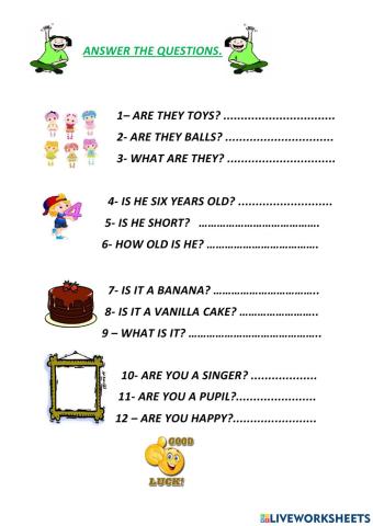 Answer the questions verb to be