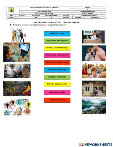 Derechos contitucionales