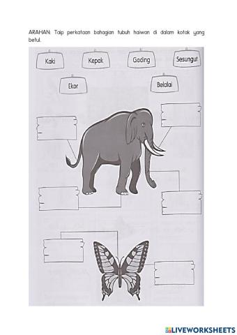 Bahagian tubuh haiwan