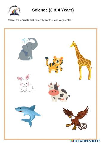 3 & 4 Years: Science (Animals 2)