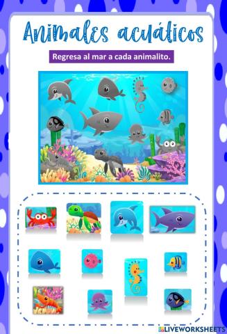 Evaluación de Naturales.