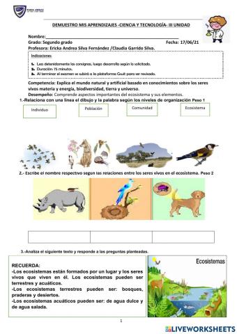 Prueba de Ciencia y Tecnología