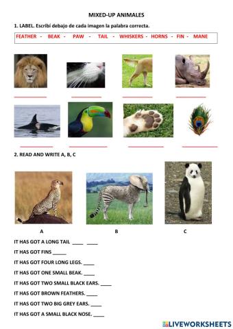 Animal body parts