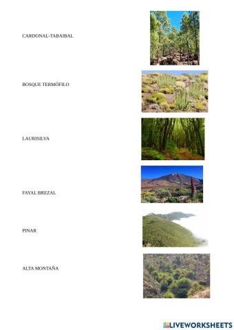 Naturaleza de Canarias