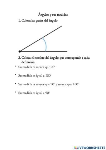 Ángulos y sus medidas