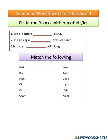 Grammar Worksheet