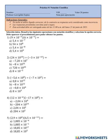 Práctica Notación Científica
