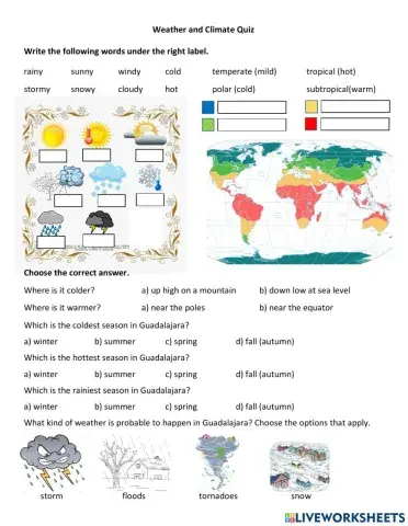 Weather & Climate Quiz