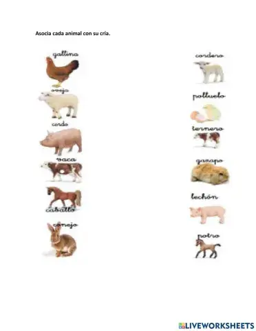 Asocia animal - cría 2