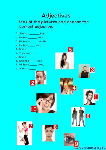 Physical description