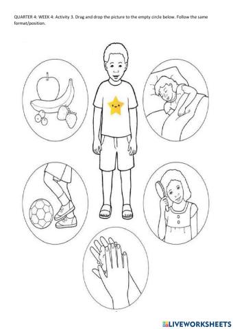 Drag and drop the given picture to the empty circle below.