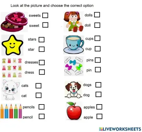 Singular - plural choose the correct option