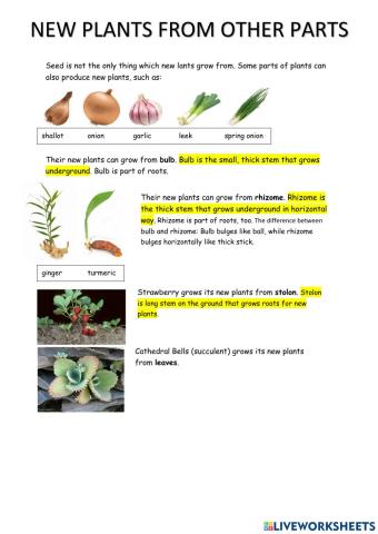 New Plants From Other Parts