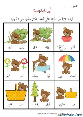 دبدوب في كل مكان