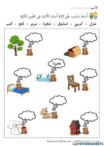 دبدوب في كل مكان