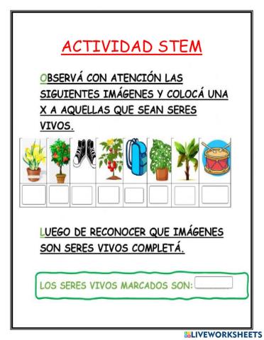 Actividad stem