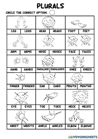 Plural nouns - My body