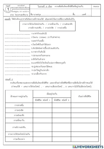 ใบงานที่ 3 ความสัมพันธ์ของสิ่งมีชีวิต