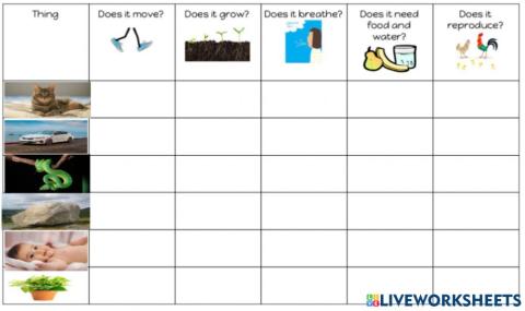 Living or non-living?