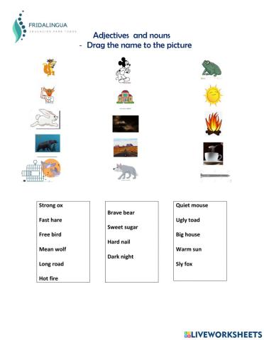 Adjectives and nouns