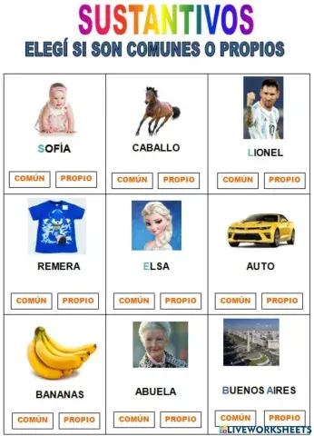 Sustantivos comunes y propios