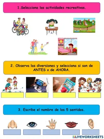 Actividades de conocimiento