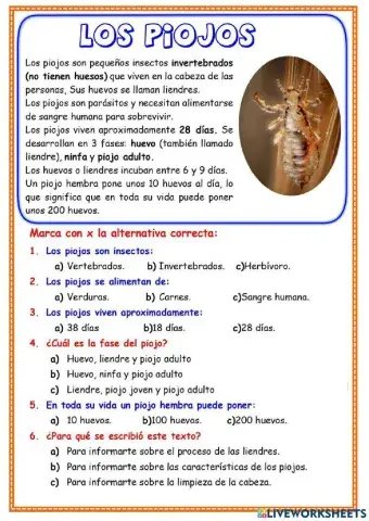 Comprensión lectora