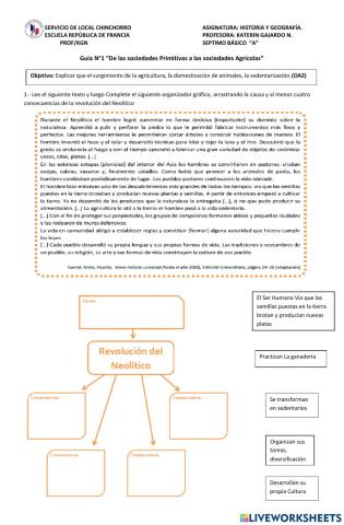 Características del neolítico