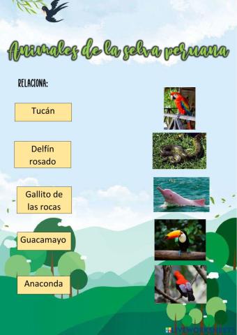 Animales de la selva peruana