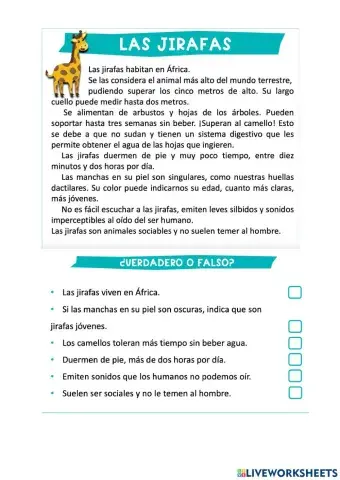 Curiosidades: Las Jirafas