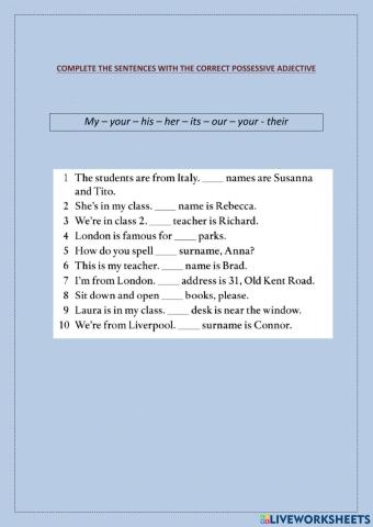 Possessive adjectives