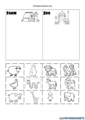 Farm and zoo animals