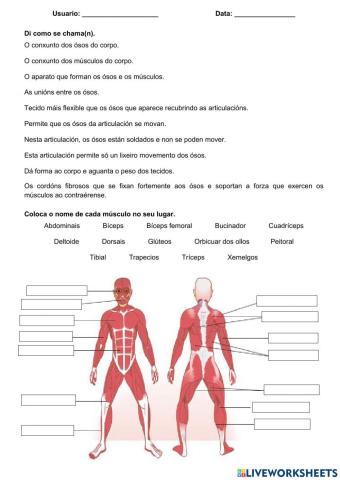 A función de relación 3. O aparato locomotor