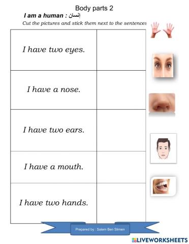 Body parts  matching