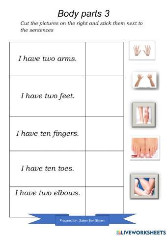 Body parts  3